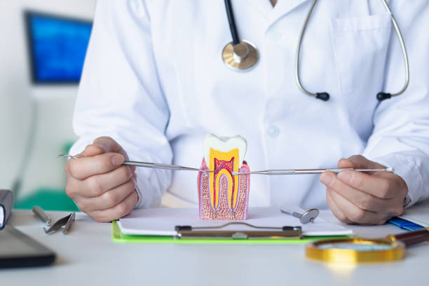Best Broken Tooth Emergency  in Otterbe, IN